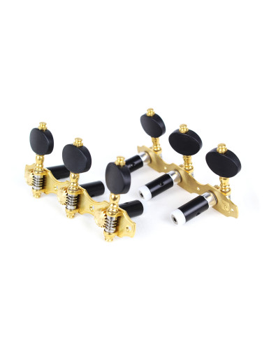 Clavijero Perona 677BB 2