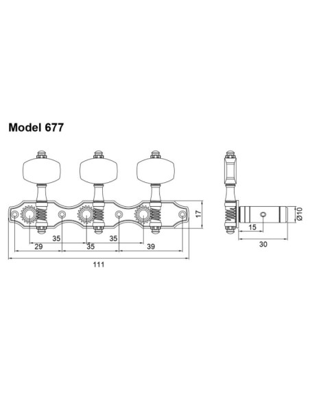 Clavijero Perona 677BB