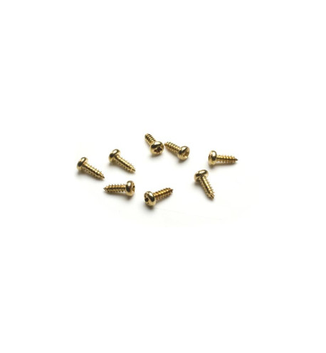 gold sunglass screws