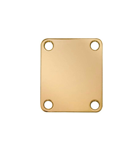 Rectangular gold neck mounting plate