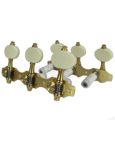 Clavijero Perona 677 Ivoroid 2