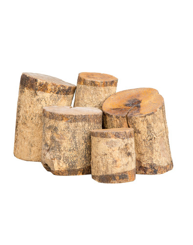 Boxwood Log + 15 years -... 2