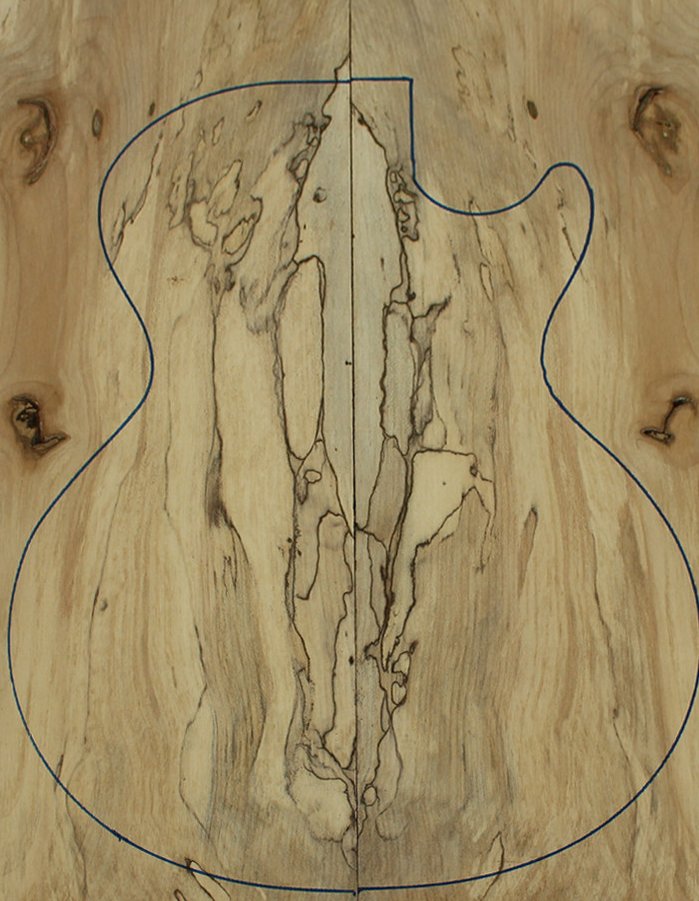 Spalted Maple Drop Top