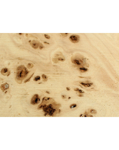 Burl Poplar wood for lathe
