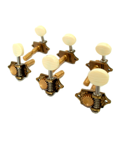 Clavijero Perona 76I 2
