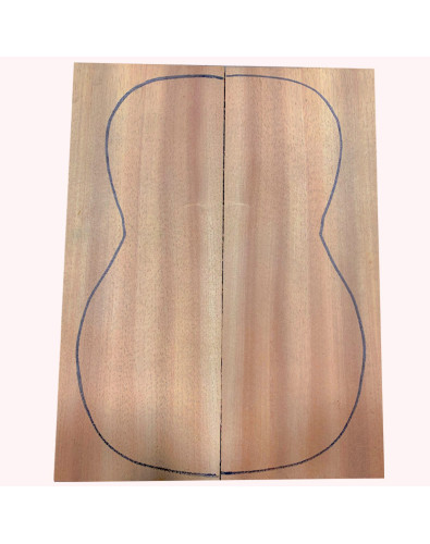 Acacia Ukelele Concert / Tenor Backs