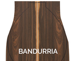 bandurria