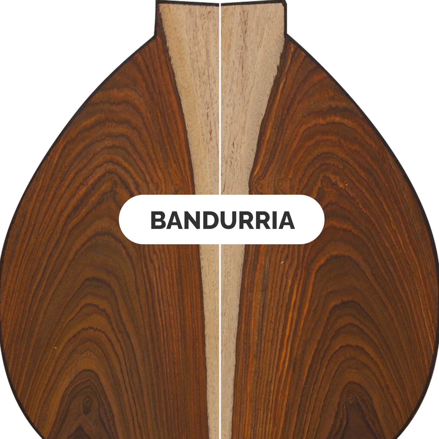 bandurria