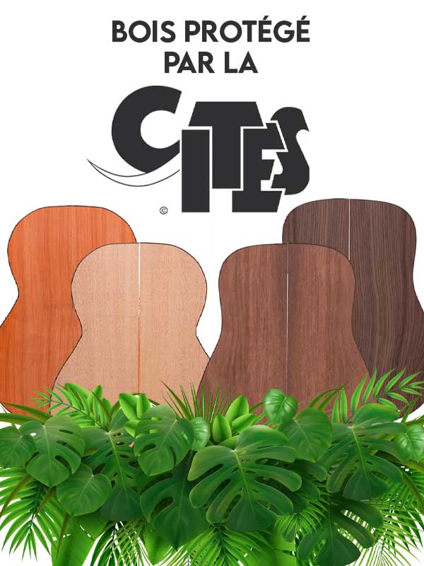 Madera protegida por CITES