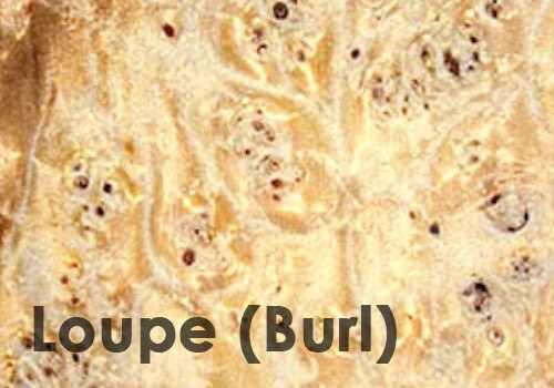 Burl