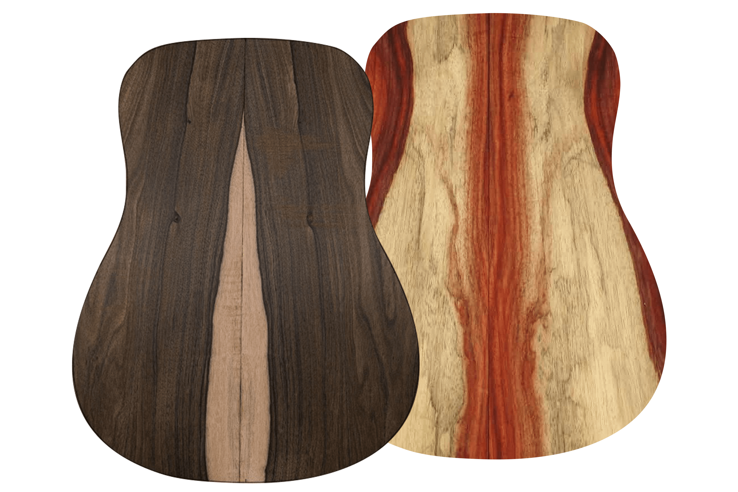 The Tree: The Most Notorious Tonewood in the World - StewMac