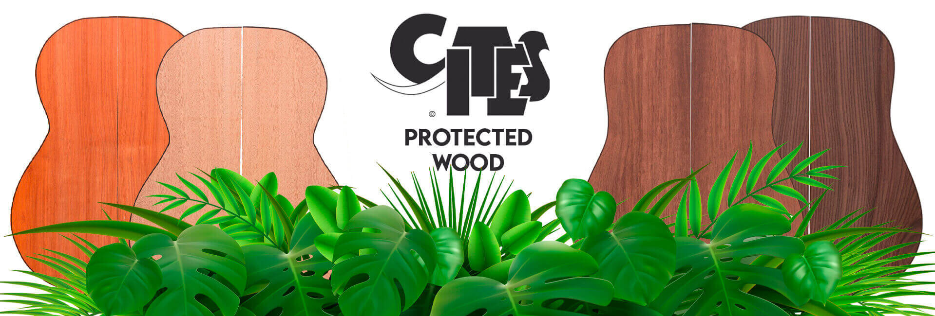 Maderas Barber's CITES protected wood