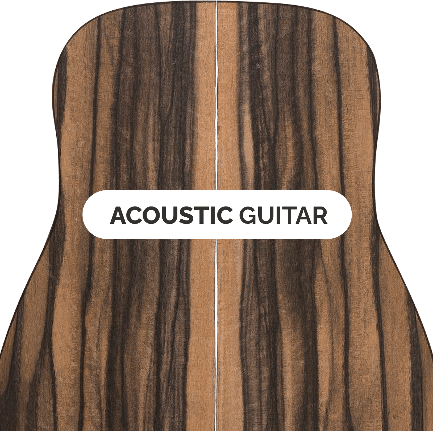 acoustic guitar