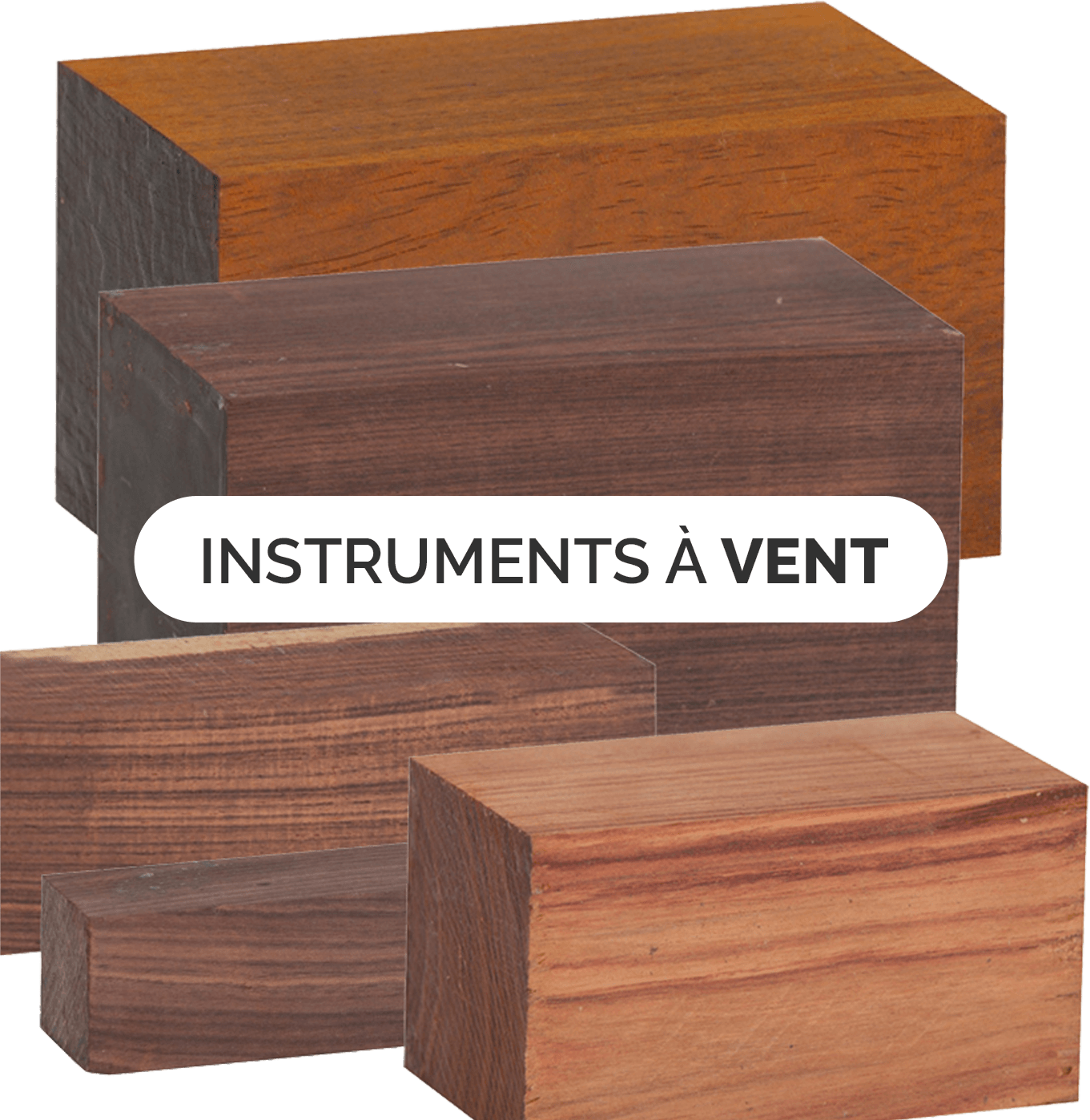 intruments à vent