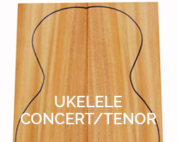 ukelele concert