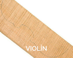 violín