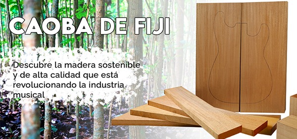 Caoba de Fiji: La madera sostenible y de alta calidad que está revolucionando la industria musical: 