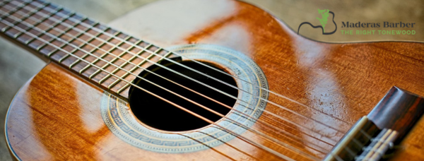 Woods and Luthiers that Changed the Spanish Guitar in the 20th Century